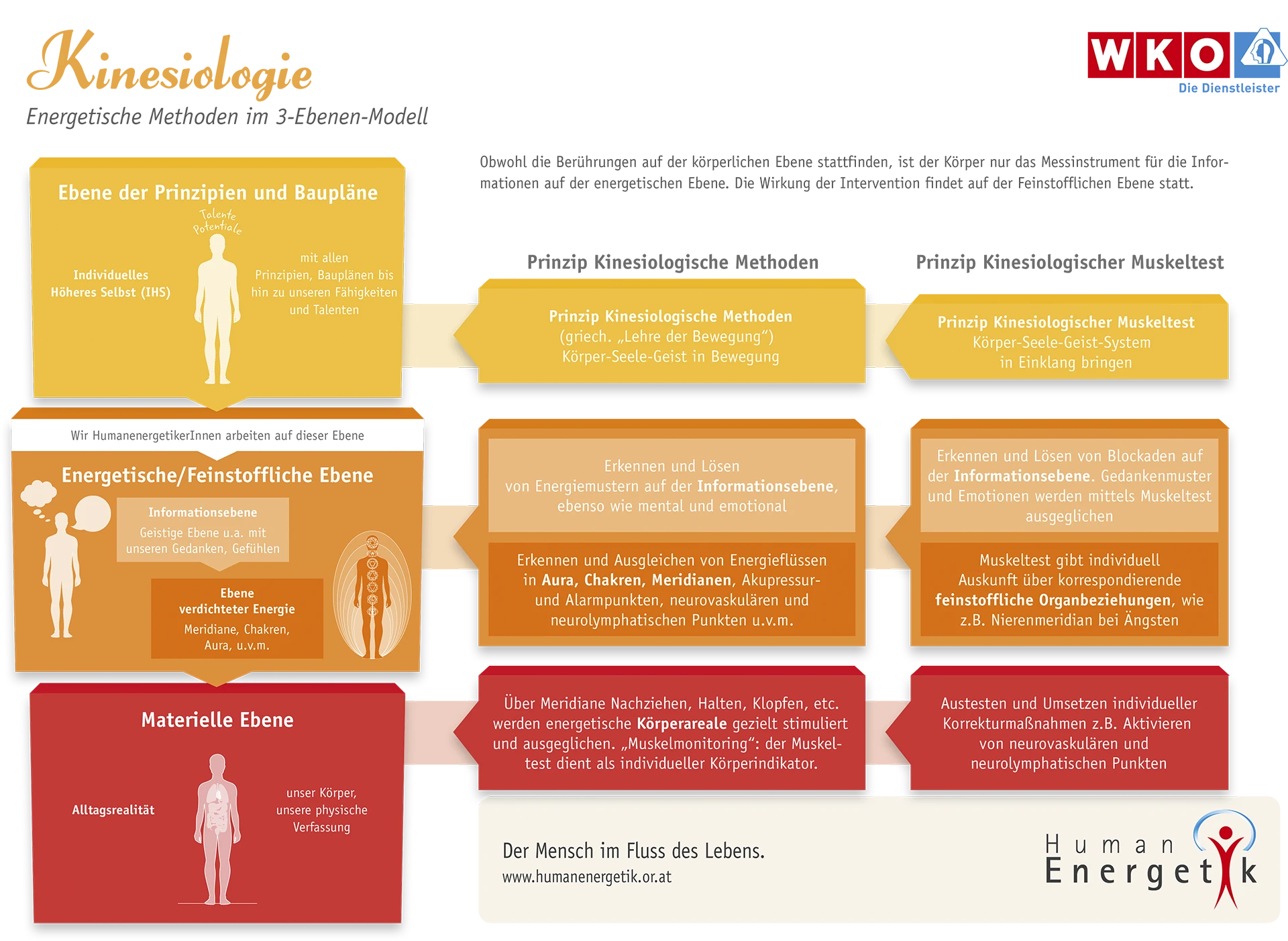 3-Ebenen-Modell-Kinesiologie